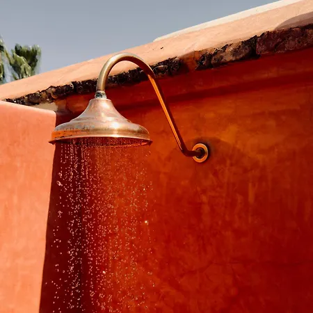 Riad privé Sadaka Bassin Rooftop-2